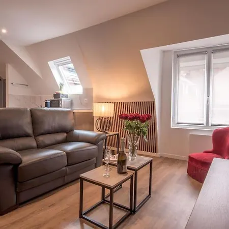 Le Nid Angevin Apartment Angers