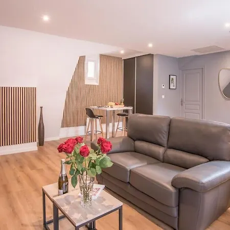 Apartment Le Nid Angevin Angers